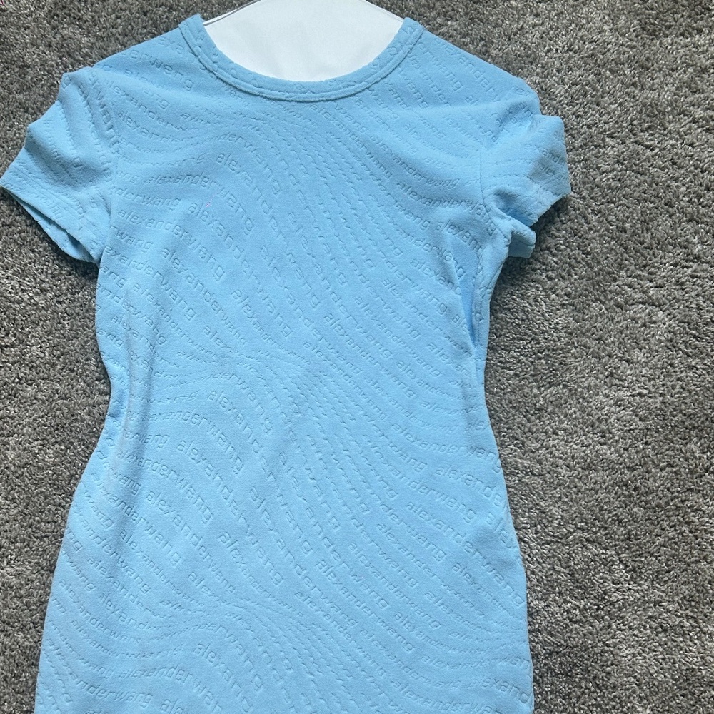 Alexander wang dress